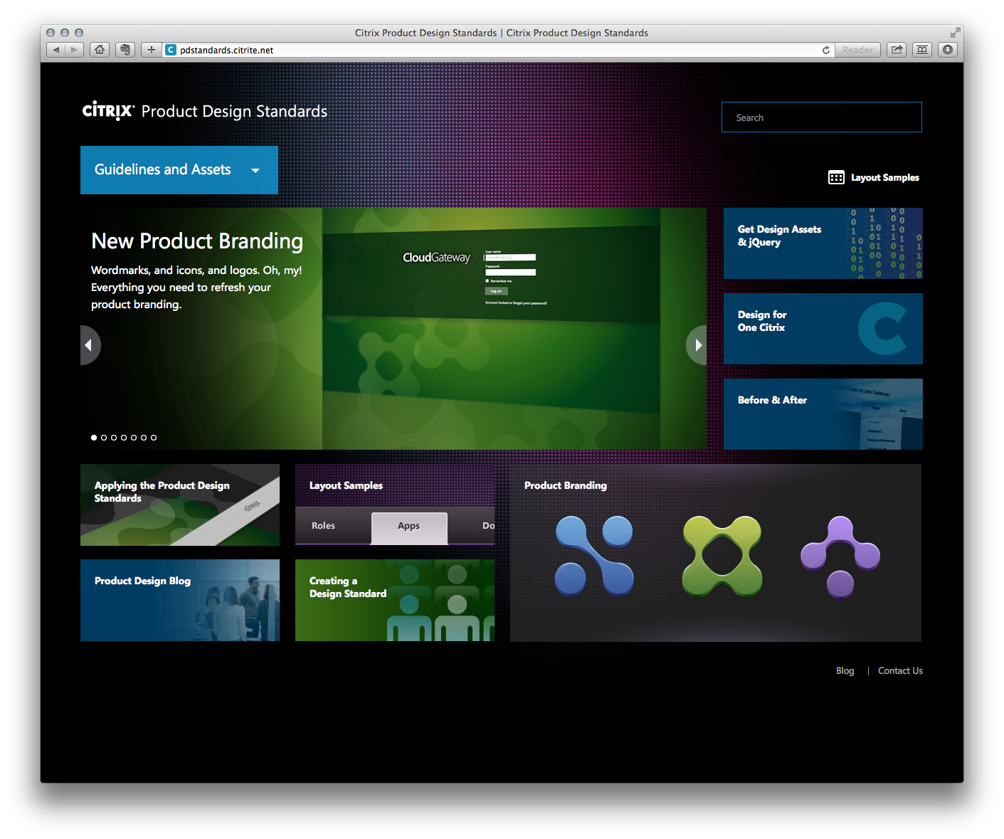 Citrix standards lead